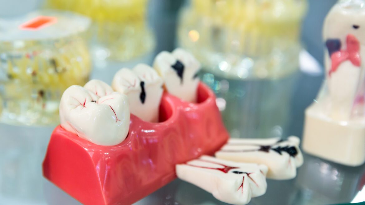 regeneration of tooth